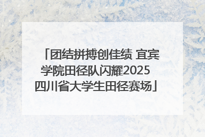 团结拼搏创佳绩 宜宾学院田径队闪耀2025四川省大学生田径赛场