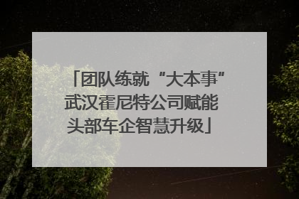 团队练就“大本事” 武汉霍尼特公司赋能头部车企智慧升级