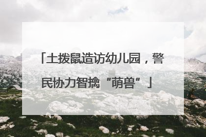 土拨鼠造访幼儿园，警民协力智擒“萌兽”
