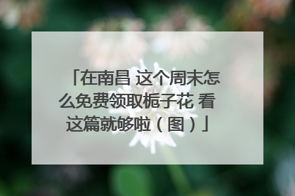 在南昌 这个周末怎么免费领取栀子花 看这篇就够啦（图）