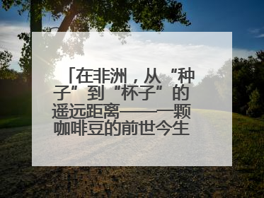 在非洲，从“种子”到“杯子”的遥远距离——一颗咖啡豆的前世今生（三）