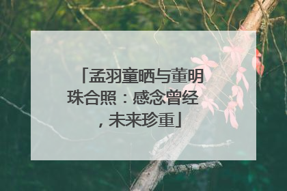 孟羽童晒与董明珠合照：感念曾经，未来珍重