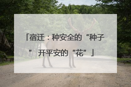 宿迁：种安全的“种子” 开平安的“花”