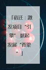宿迁：激发项目“引擎” 挺起发展“脊梁”