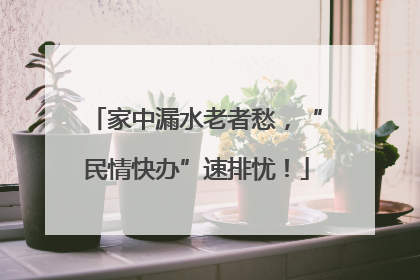 家中漏水老者愁，“民情快办”速排忧！
