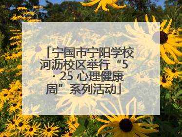 宁国市宁阳学校河沥校区举行“5・25 心理健康周”系列活动
