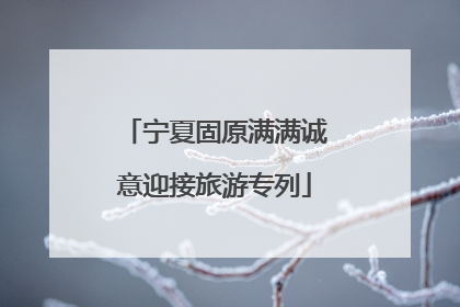 宁夏固原满满诚意迎接旅游专列