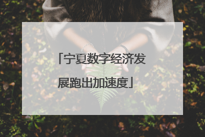 宁夏数字经济发展跑出加速度