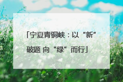 宁夏青铜峡：以“新”破题 向“绿”而行
