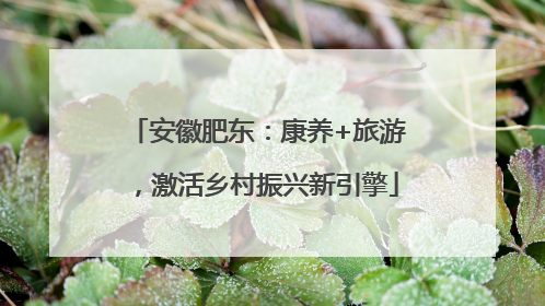 安徽肥东：康养+旅游，激活乡村振兴新引擎