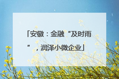 安徽：金融“及时雨”，润泽小微企业