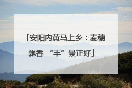 安阳内黄马上乡：麦穗飘香 “丰”景正好
