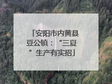 安阳市内黄县豆公镇：“三夏”生产有实招