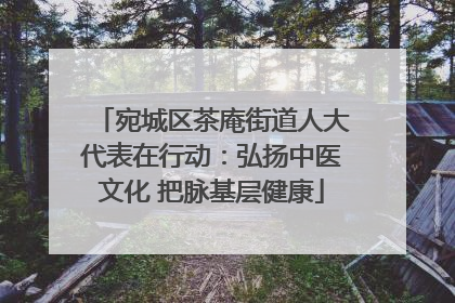 宛城区茶庵街道人大代表在行动：弘扬中医文化 把脉基层健康