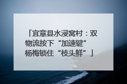 宜章县水浸窝村：双物流按下“加速键” 杨梅锁住“枝头鲜”