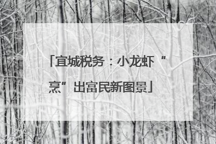 宜城税务：小龙虾“烹”出富民新图景