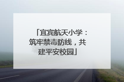 宜宾航天小学：筑牢禁毒防线，共建平安校园