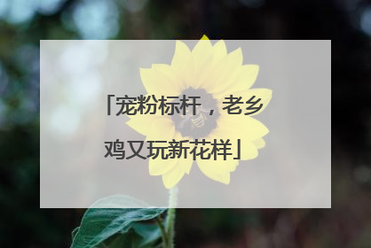 宠粉标杆，老乡鸡又玩新花样