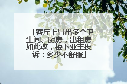 客厅上冒出多个卫生间、厨房，出租房如此改，楼下业主投诉：多少不舒服