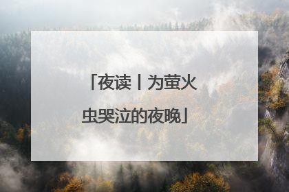 夜读丨为萤火虫哭泣的夜晚