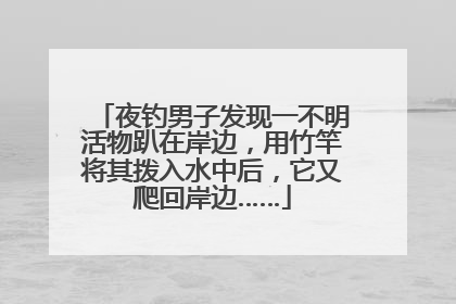 夜钓男子发现一不明活物趴在岸边，用竹竿将其拨入水中后，它又爬回岸边……