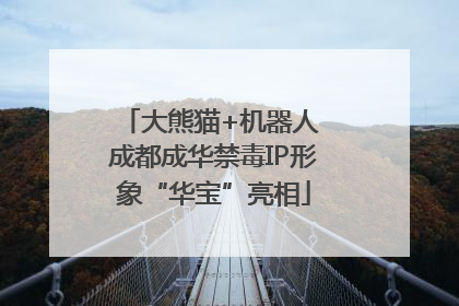 大熊猫+机器人 成都成华禁毒IP形象“华宝”亮相