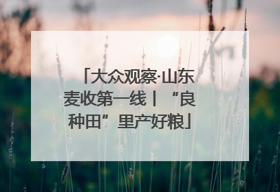 大众观察·山东麦收第一线丨“良种田”里产好粮