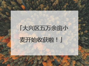 大兴区五万余亩小麦开始收获啦！