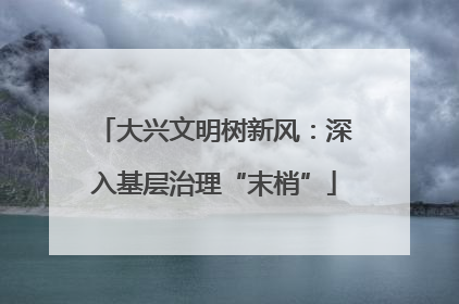 大兴文明树新风：深入基层治理“末梢”