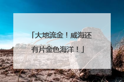 大地流金！威海还有片金色海洋！