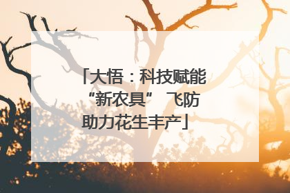 大悟：科技赋能“新农具” 飞防助力花生丰产