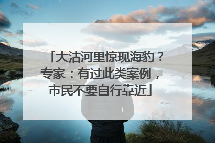 大沽河里惊现海豹？专家：有过此类案例，市民不要自行靠近