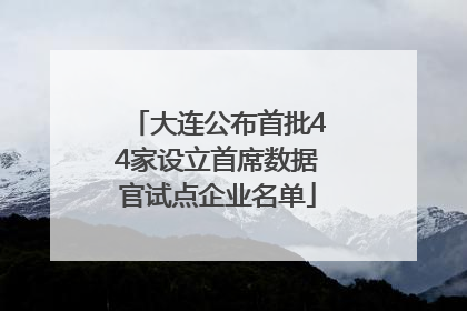 大连公布首批44家设立首席数据官试点企业名单