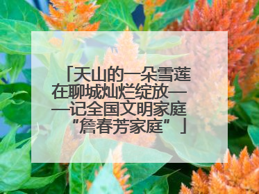 天山的一朵雪莲在聊城灿烂绽放——记全国文明家庭“詹春芳家庭”