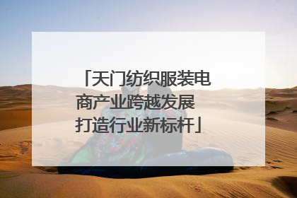 天门纺织服装电商产业跨越发展 打造行业新标杆