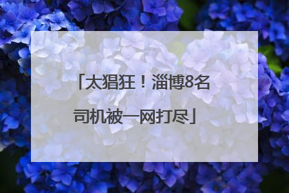 太猖狂！淄博8名司机被一网打尽