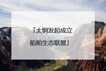 太钢发起成立船舶生态联盟