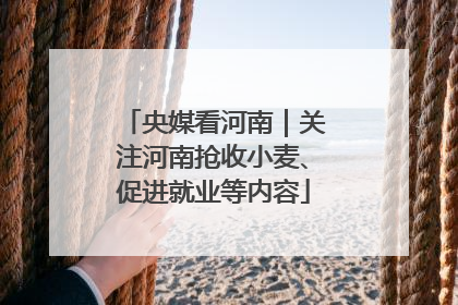 央媒看河南｜关注河南抢收小麦、促进就业等内容