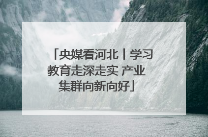 央媒看河北丨学习教育走深走实 产业集群向新向好