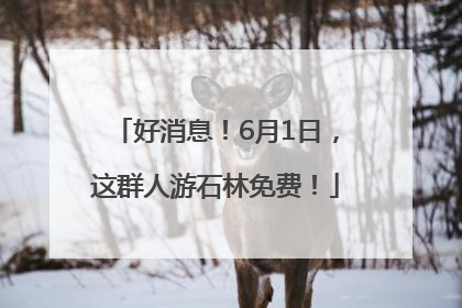 好消息！6月1日，这群人游石林免费！