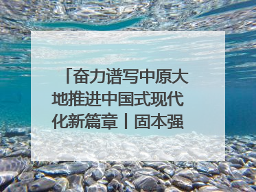奋力谱写中原大地推进中国式现代化新篇章丨固本强农 共绘新景