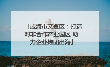 威海市文登区：打造对非合作产业园区 助力企业抱团出海