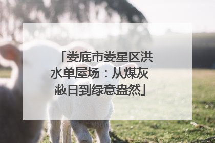 娄底市娄星区洪水单屋场：从煤灰蔽日到绿意盎然