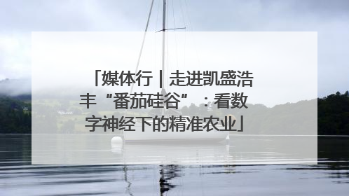 媒体行｜走进凯盛浩丰“番茄硅谷”：看数字神经下的精准农业