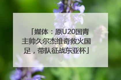 媒体：原U20国青主帅久尔杰维奇救火国足，带队征战东亚杯