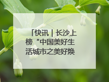 快讯｜长沙上榜“中国美好生活城市之美好焕新典范城市”