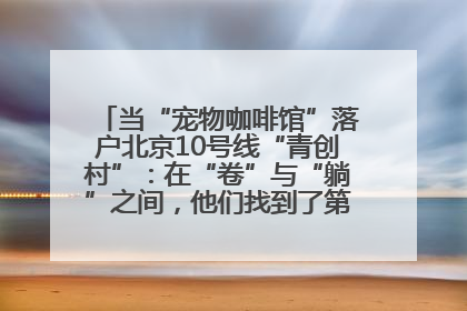 当“宠物咖啡馆”落户北京10号线“青创村”：在“卷”与“躺”之间，他们找到了第三种生活公式