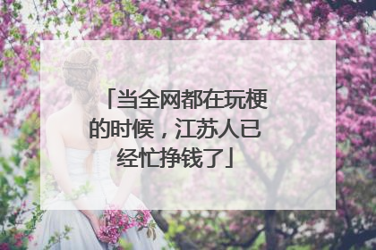 当全网都在玩梗的时候，江苏人已经忙挣钱了