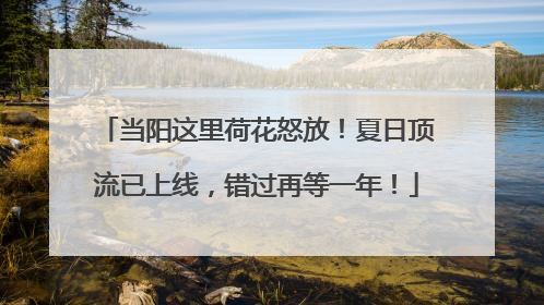 当阳这里荷花怒放！夏日顶流已上线，错过再等一年！