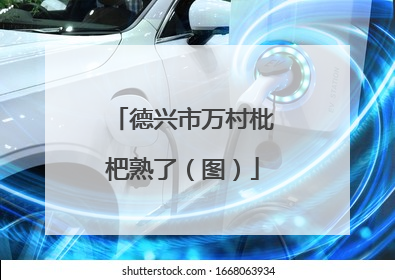 德兴市万村枇杷熟了（图）